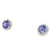 14k White Gold Tanzanite and Hidden Diamond Halo Earrings