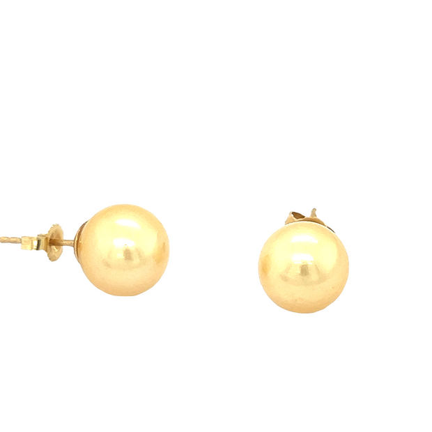 Golden South Sea Pearl Earrings in 14k Yellow Gold